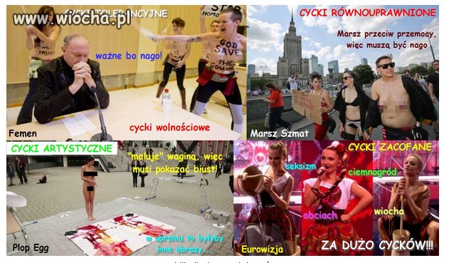 Logika lewaków