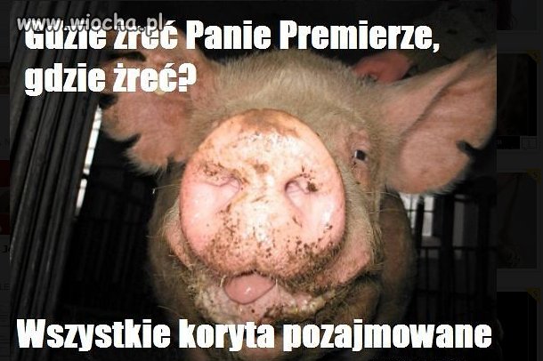Jak żreć, jak żreć?