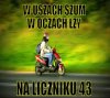 Ciężka rzeczywistość