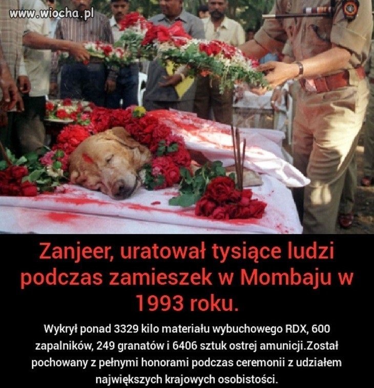 Może i nie wiocha