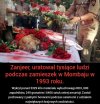 Może i nie wiocha
