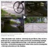 Wszystkie zwierzęta są równe, ale świnie równiejsze.