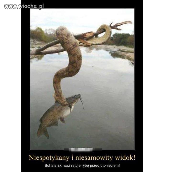 Nie każdy kto poda Ci dłoń...