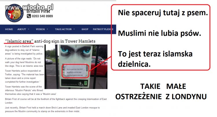 Religia pokoju.