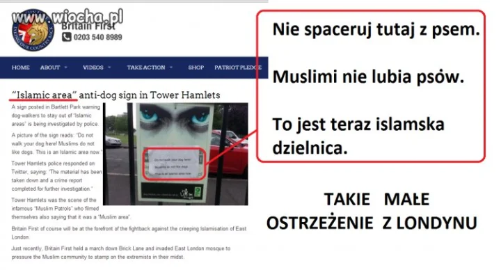 Religia pokoju.