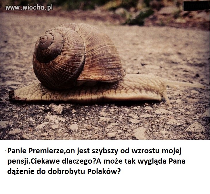 Może należy zacząć zadawać kłopotliwe pytania?