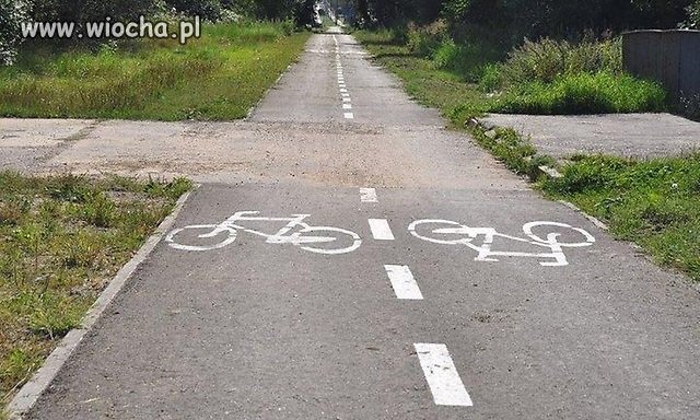 Lewostronny ruch dla rowerów