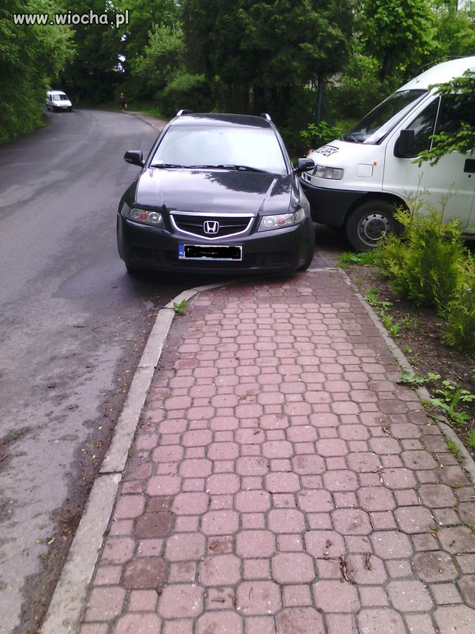 Następny burak z Frysztaka