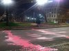 Bojówka ruchu palikota wylewała na ulicę różową