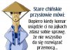 Przysłowia są mądrością ...