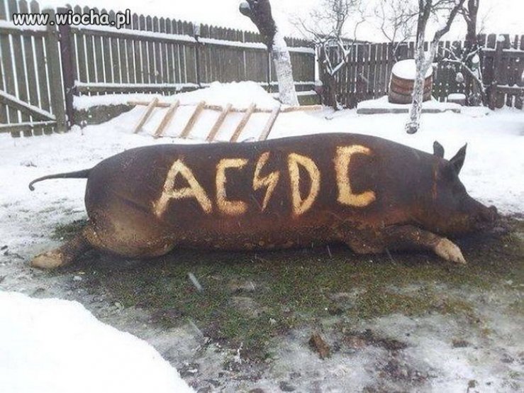 Fanka zespołu AC/DC