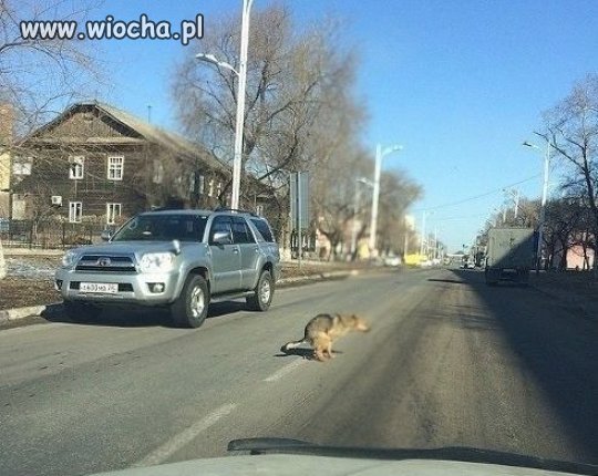 Nie znasz miejsca ani godziny