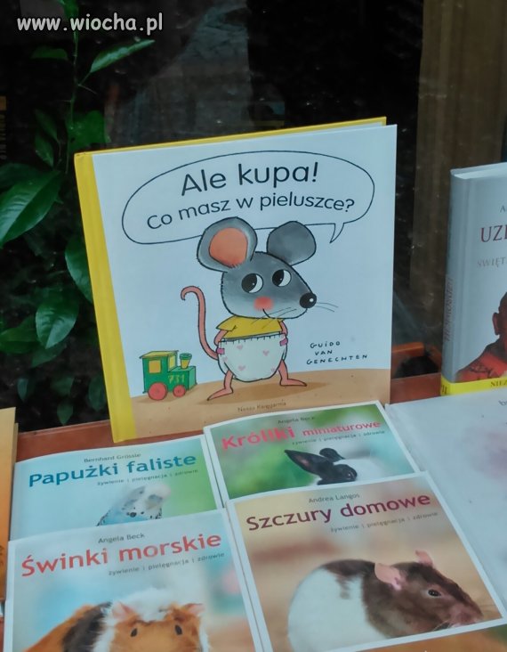 Książka dla dzieci XXI wieku. 
