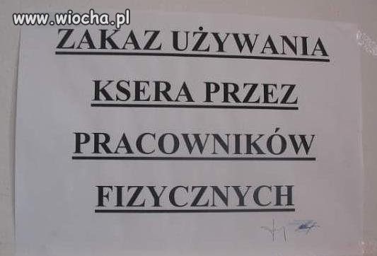 Bidny fizol...