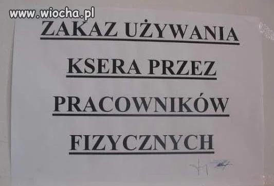 Bidny fizol...