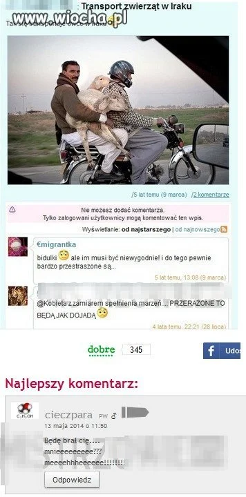 Owcoj*bcy
