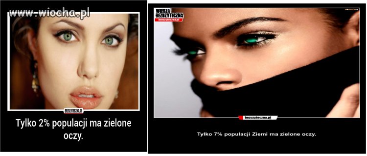 Bzdury jakich mało na bezużytecznej
