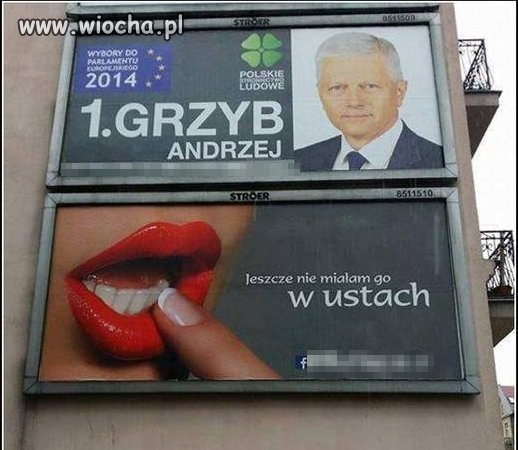 Grzyb...