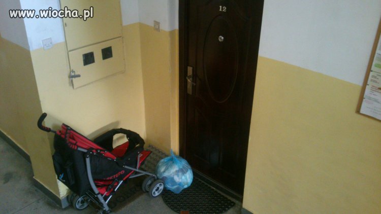 Jak się wieśniactwo do bloku wprowadzi...