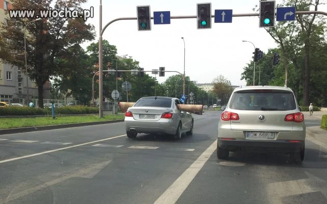 Tak się wozi szlachta.