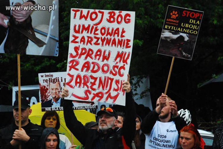 STOP! Dla uboju rytualnego