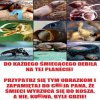 Wiocha dla śmieciarzy
