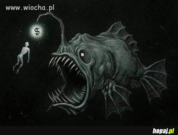 XXI wiek pogoń za pieniądzem