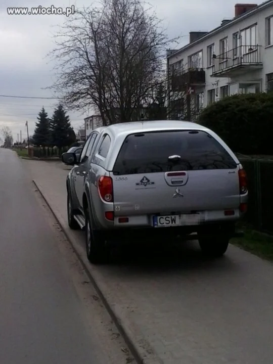 Miastowy przyjechał na wieś...
