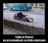 Piętrowe łóżka...