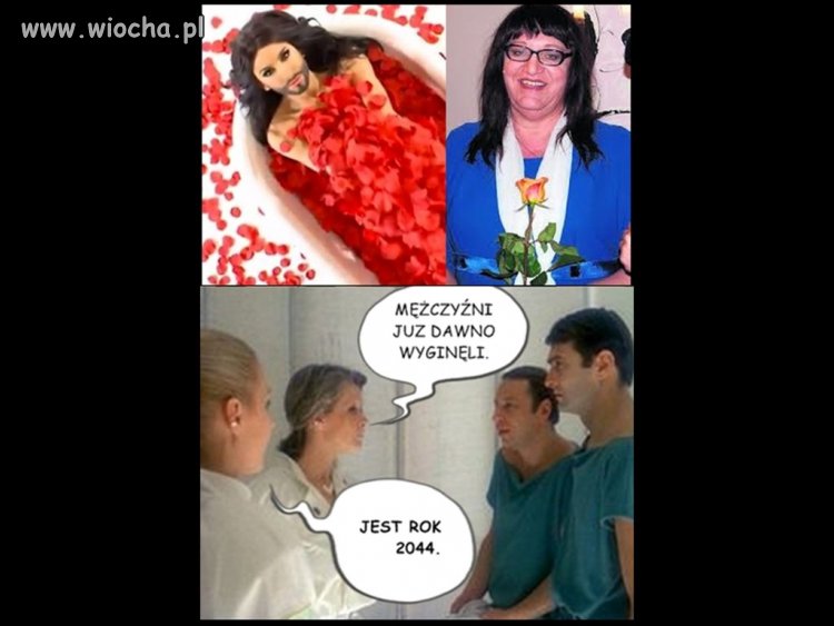 Seksmisja 2014.