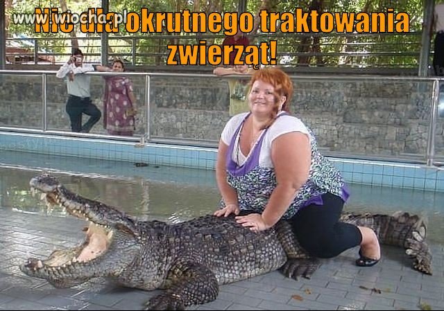 Zdecydowane