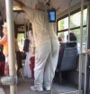 Tymczasem w autobusie  