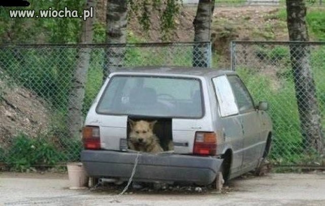 Nic się nie marnuje 