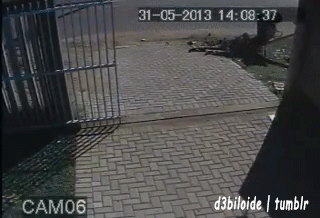 Już był w ogródku i witał się z...