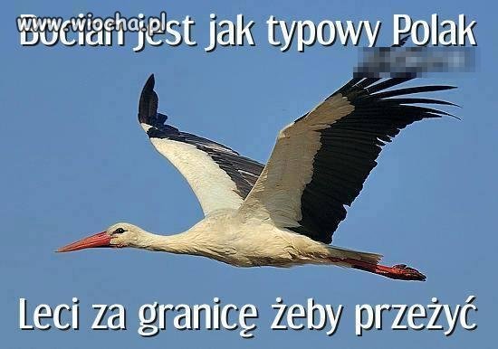 Wspólny kierunek..