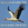 Wspólny kierunek..