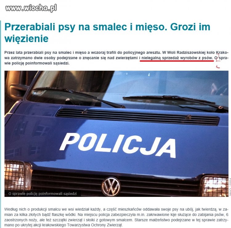 Robili smalec z psów...cała wieś wiedziała