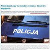 Robili smalec z psów...cała wieś wiedziała