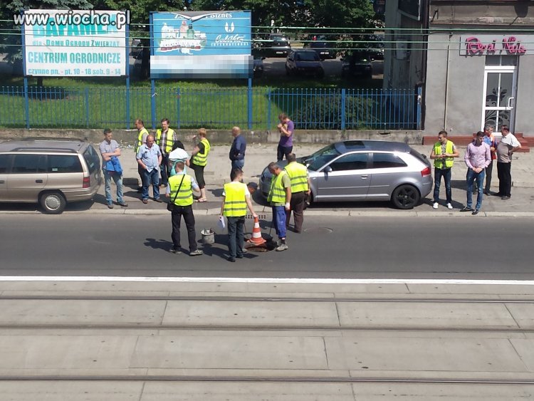 BEZROBOCIE W POLSCE? Chyba Katowic to nie dotyczy!