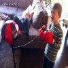 Wyrawanie zęba