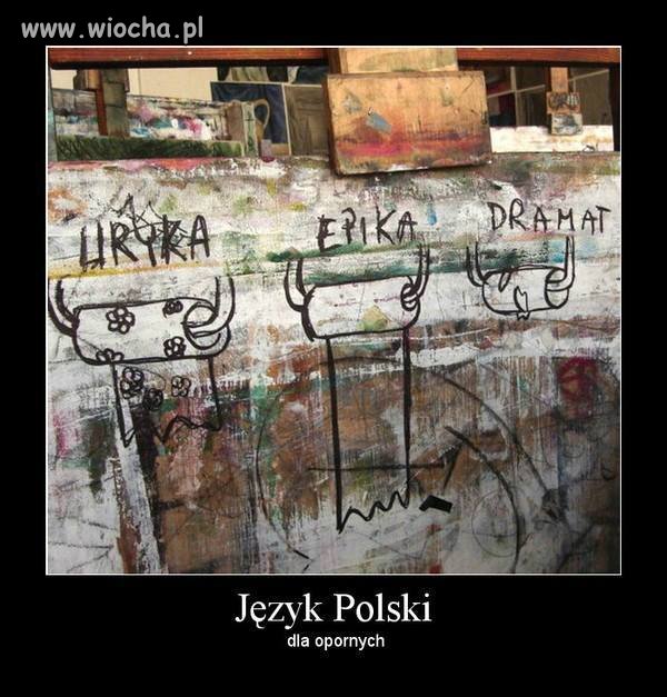 Język Polski...