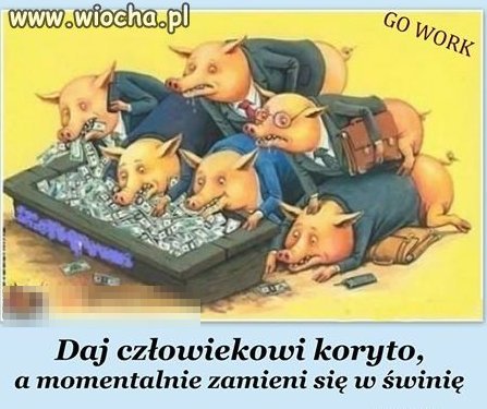 Po to się pchają