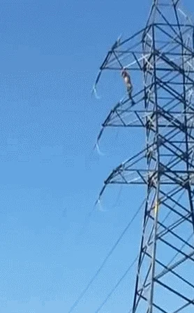 Porażająca bezmyślność 