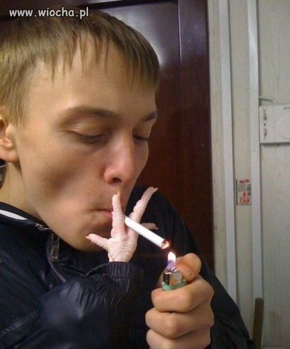 Chicken boy