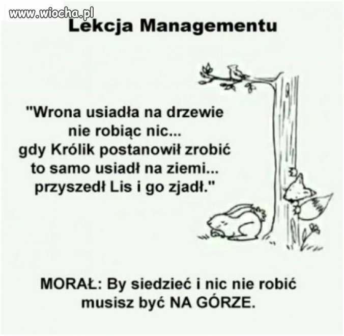Mój spot wyborczy