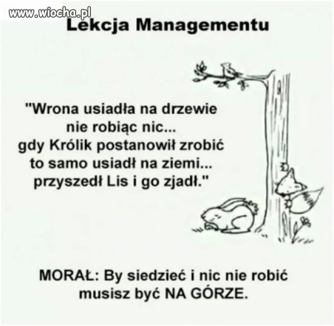 Mój spot wyborczy