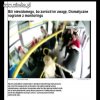 Na pewno rodzice są z nich bardzo dumni 