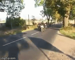 Patrz w lusterka, motocykle są wszędzie