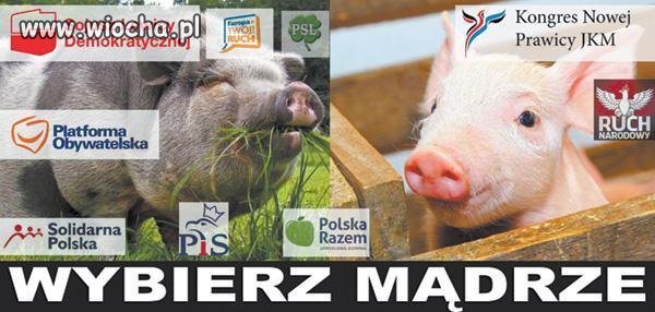 Nic dodać nic ująć