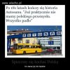 Kolejna duża polska firma upadła,